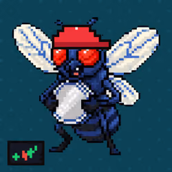 Common Fly #832