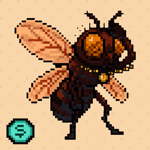 Rare Fly #984