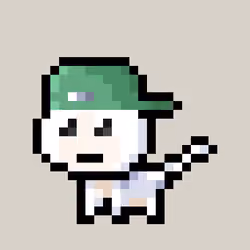 Pew Cat #354