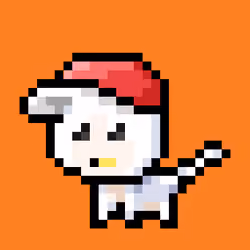 Pew Cat #322