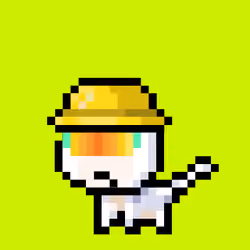 Pew Cat #1
