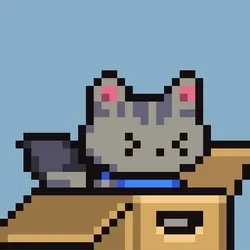 Hood Cats #2782