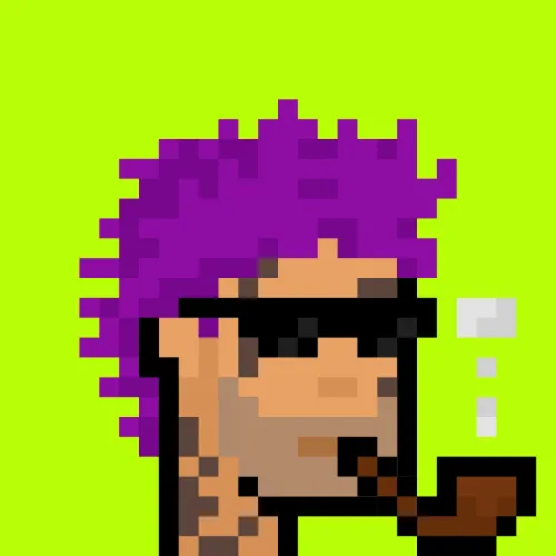 RobinPunks #506