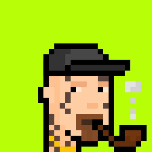 RobinPunks #1517