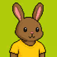 Hood Rabbits