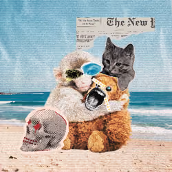 Punch Hood Collage #426