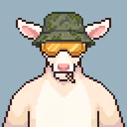 Fawn #4765