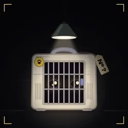 Kitty Pre-Reveal