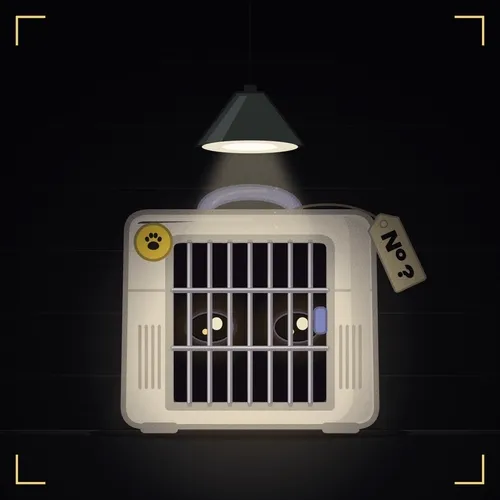 Kitty Pre-Reveal