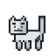 504