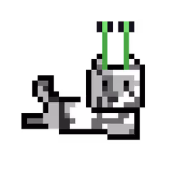 2664