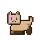 RobinCat #3258