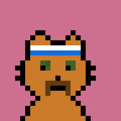 Mewron Cats #474