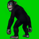 1755