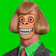258