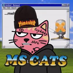 MSDOS CATS #1030
