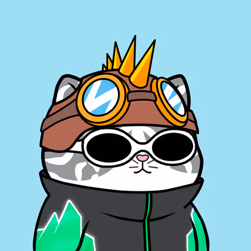 Meow #1616