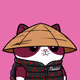 Meow #2216
