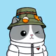 Meow #2208