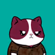 Meow #2211