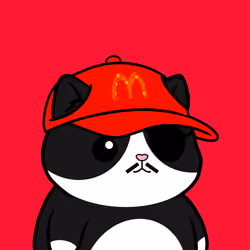 Meow #996