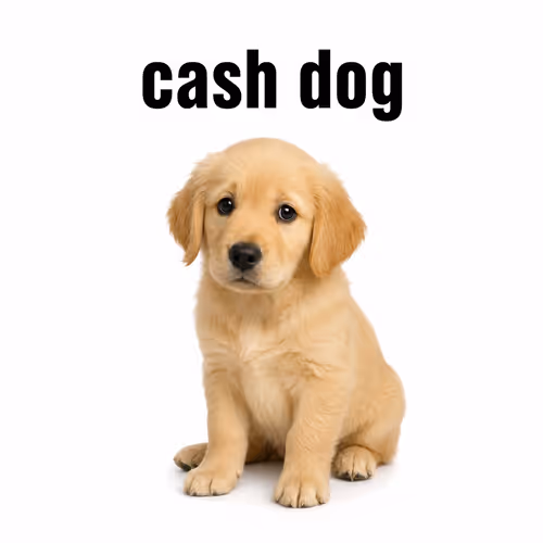 CASHDOG
