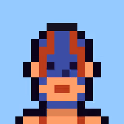 Robin-Punk #1608