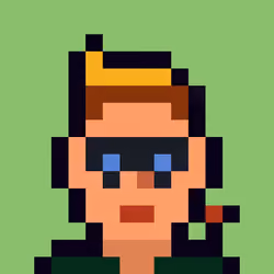Robin-Punk #1025