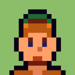 Robin-Punk #8017