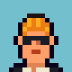 Robin-Punk #1595