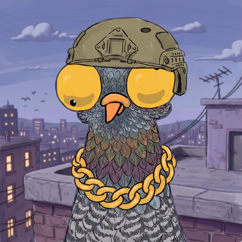 Pigeon Crew #71