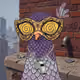 Pigeon Crew #323