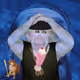 cash monkeys #744
