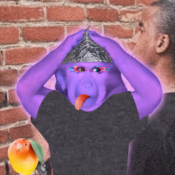1776