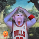 cash monkeys #166