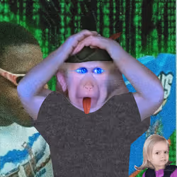 586