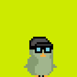 Broker Penguins #6396