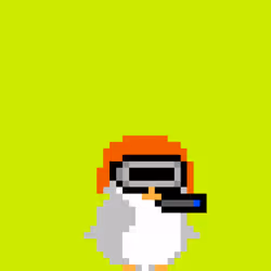 Broker Penguins #307