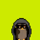 Broker Penguins #3118