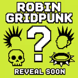  ROBIN GRIDPUNK #????