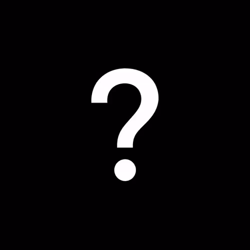 Noir Punks: Waiting Reveal