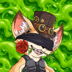 Braip