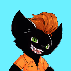 Pibgoo