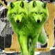 Two Wolves