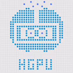491