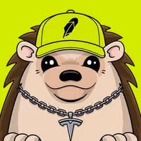 RIZO