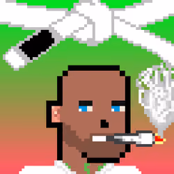 BJJ Punk #720
