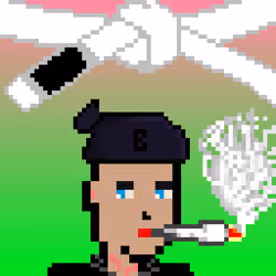 BJJ Punk #719