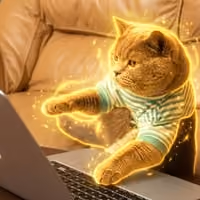 TYPECAT