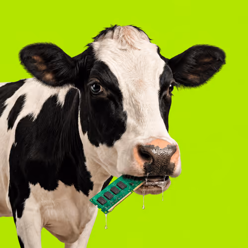 MOO